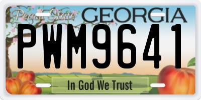 GA license plate PWM9641