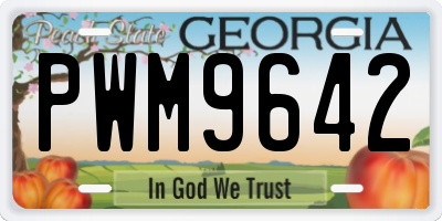 GA license plate PWM9642
