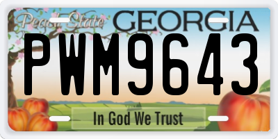 GA license plate PWM9643