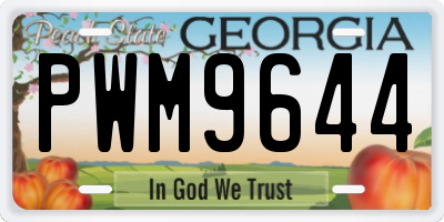 GA license plate PWM9644