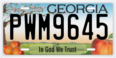 GA license plate PWM9645