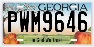 GA license plate PWM9646