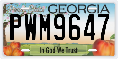 GA license plate PWM9647