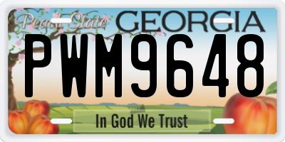 GA license plate PWM9648