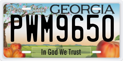 GA license plate PWM9650
