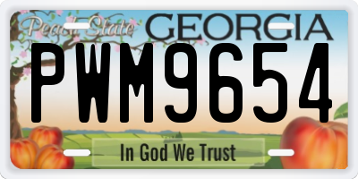 GA license plate PWM9654