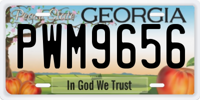 GA license plate PWM9656