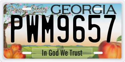 GA license plate PWM9657