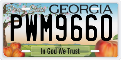 GA license plate PWM9660