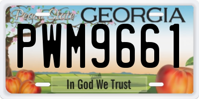 GA license plate PWM9661