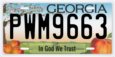 GA license plate PWM9663