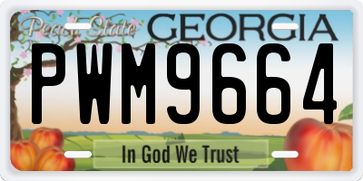 GA license plate PWM9664