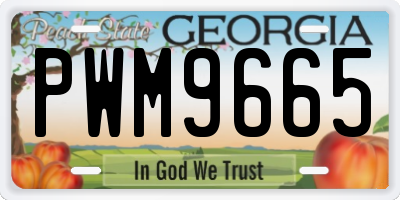 GA license plate PWM9665