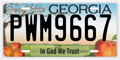 GA license plate PWM9667