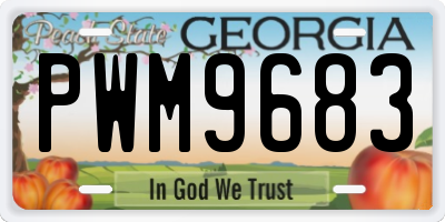 GA license plate PWM9683