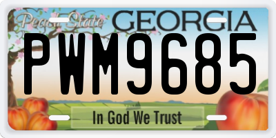 GA license plate PWM9685