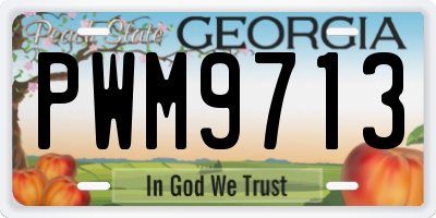 GA license plate PWM9713