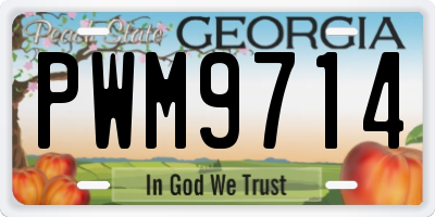 GA license plate PWM9714