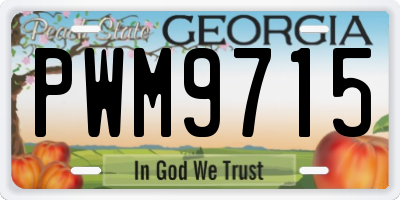 GA license plate PWM9715