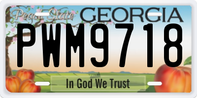 GA license plate PWM9718