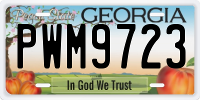GA license plate PWM9723