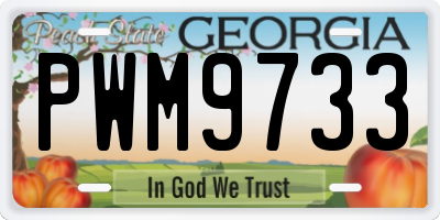 GA license plate PWM9733