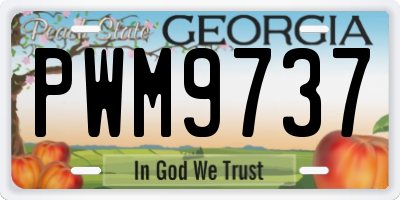 GA license plate PWM9737