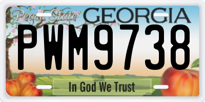GA license plate PWM9738