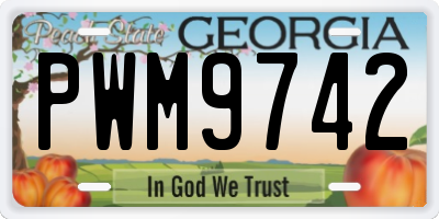 GA license plate PWM9742