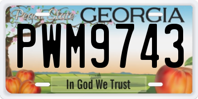 GA license plate PWM9743