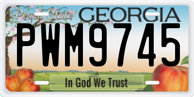 GA license plate PWM9745