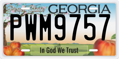 GA license plate PWM9757