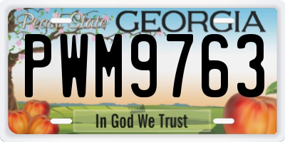 GA license plate PWM9763