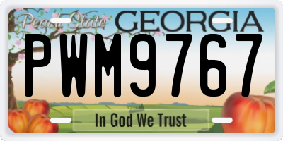 GA license plate PWM9767
