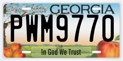 GA license plate PWM9770