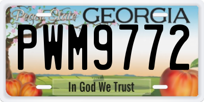 GA license plate PWM9772