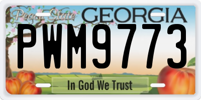 GA license plate PWM9773