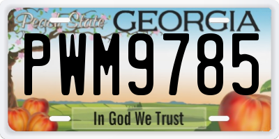 GA license plate PWM9785
