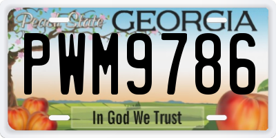 GA license plate PWM9786