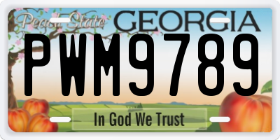 GA license plate PWM9789