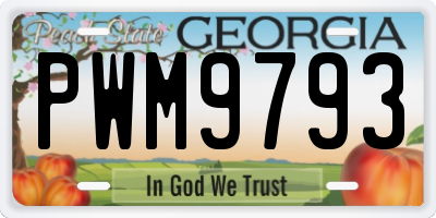 GA license plate PWM9793