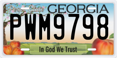 GA license plate PWM9798