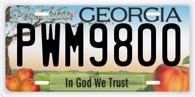 GA license plate PWM9800