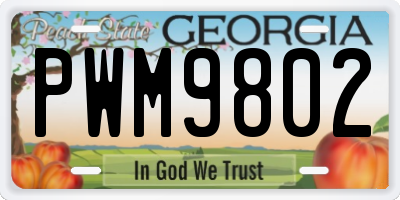 GA license plate PWM9802