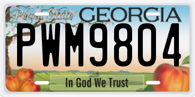GA license plate PWM9804