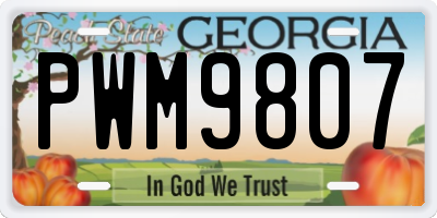 GA license plate PWM9807