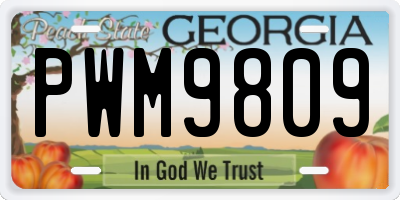 GA license plate PWM9809