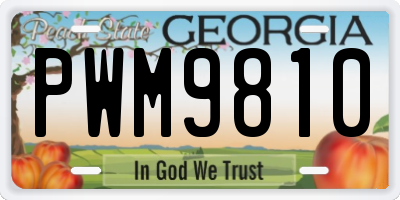 GA license plate PWM9810