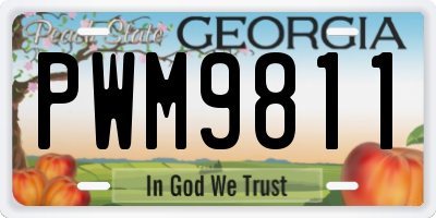 GA license plate PWM9811