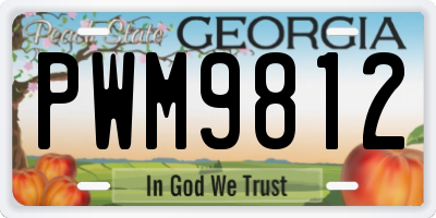 GA license plate PWM9812